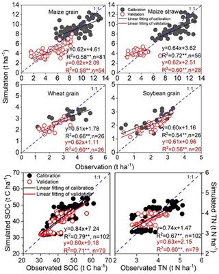 Both yields of maize and soybean and soil carbon sequestration in typical Mollisols cropland decrease under future climate change: SPACSYS simulation